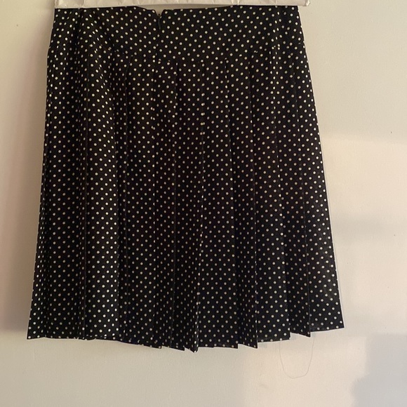 Pleats - Picture 2 of 2